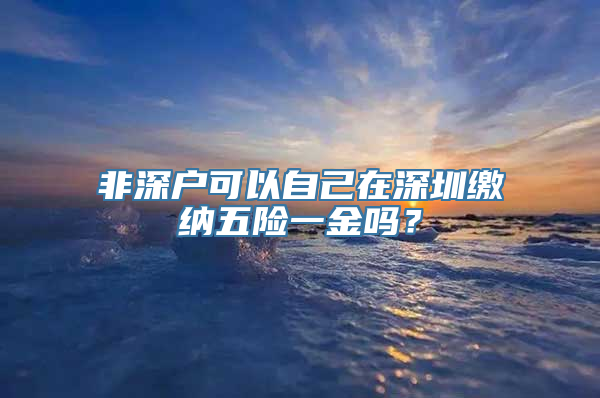 非深户可以自己在深圳缴纳五险一金吗？