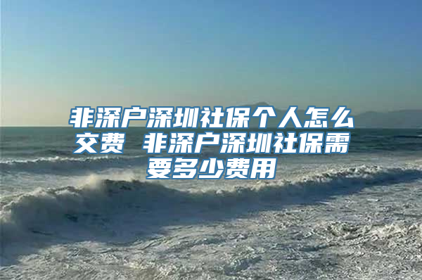 非深户深圳社保个人怎么交费 非深户深圳社保需要多少费用