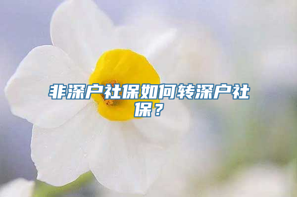 非深户社保如何转深户社保？