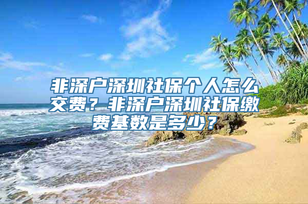 非深户深圳社保个人怎么交费？非深户深圳社保缴费基数是多少？