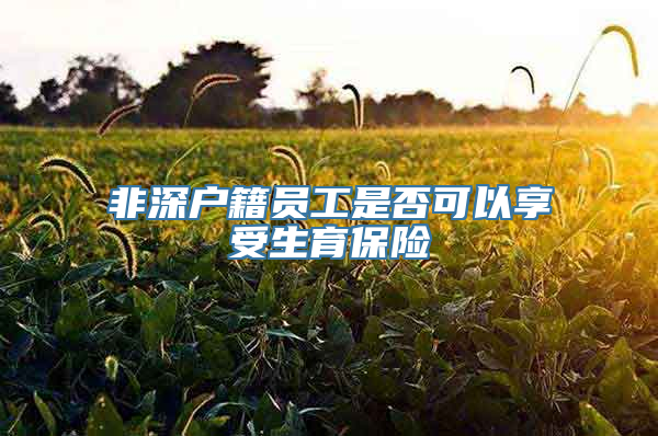 非深户籍员工是否可以享受生育保险