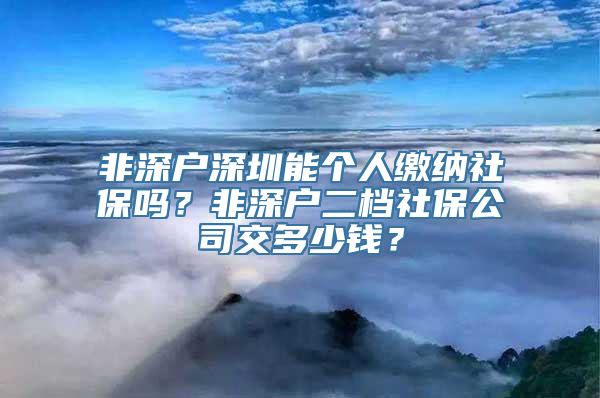 非深户深圳能个人缴纳社保吗？非深户二档社保公司交多少钱？