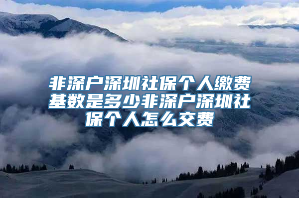 非深户深圳社保个人缴费基数是多少非深户深圳社保个人怎么交费