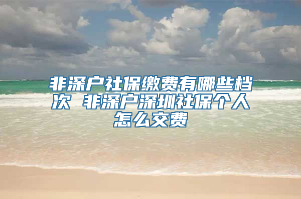 非深户社保缴费有哪些档次 非深户深圳社保个人怎么交费