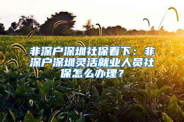 非深户深圳社保看下：非深户深圳灵活就业人员社保怎么办理？