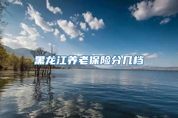 黑龙江养老保险分几档