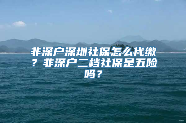 非深户深圳社保怎么代缴？非深户二档社保是五险吗？