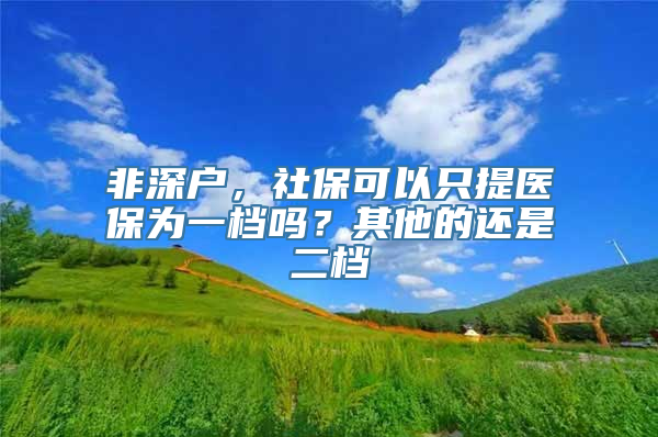 非深户，社保可以只提医保为一档吗？其他的还是二档