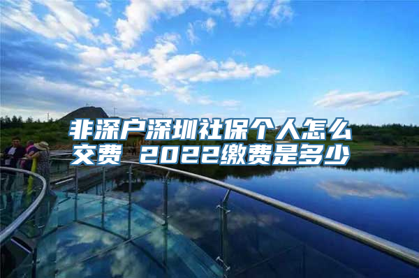 非深户深圳社保个人怎么交费 2022缴费是多少