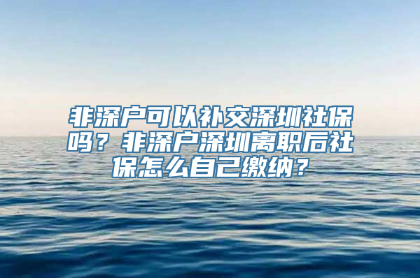 非深户可以补交深圳社保吗？非深户深圳离职后社保怎么自己缴纳？