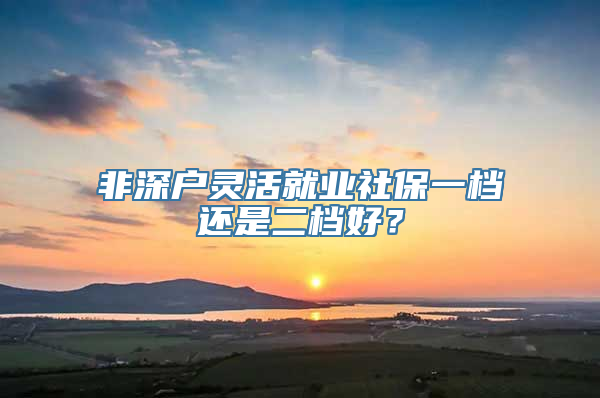 非深户灵活就业社保一档还是二档好？