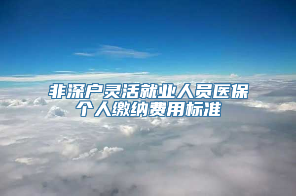 非深户灵活就业人员医保个人缴纳费用标准