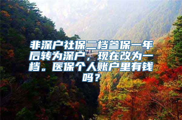 非深户社保二档参保一年后转为深户，现在改为一档。医保个人账户里有钱吗？