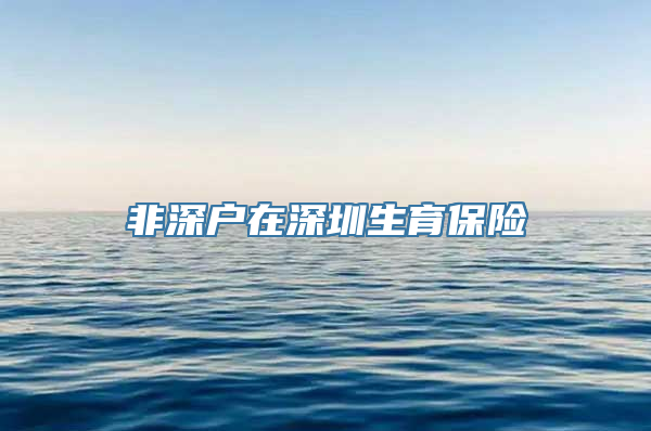 非深户在深圳生育保险