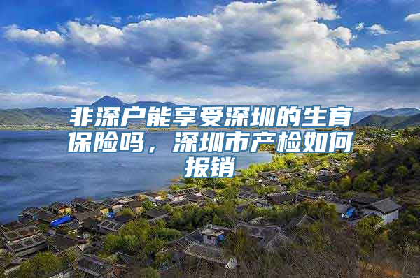 非深户能享受深圳的生育保险吗，深圳市产检如何报销