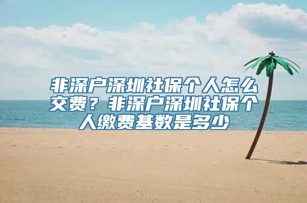 非深户深圳社保个人怎么交费？非深户深圳社保个人缴费基数是多少