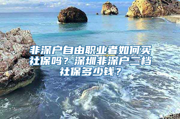 非深户自由职业者如何买社保吗？深圳非深户二档社保多少钱？