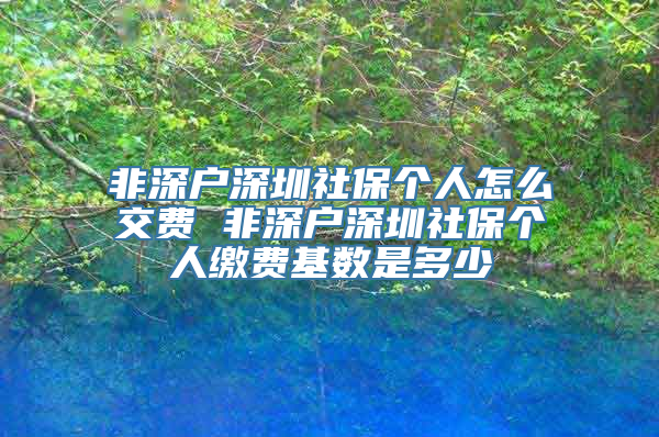 非深户深圳社保个人怎么交费 非深户深圳社保个人缴费基数是多少