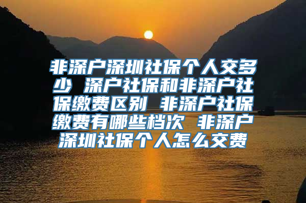 非深户深圳社保个人交多少 深户社保和非深户社保缴费区别 非深户社保缴费有哪些档次 非深户深圳社保个人怎么交费