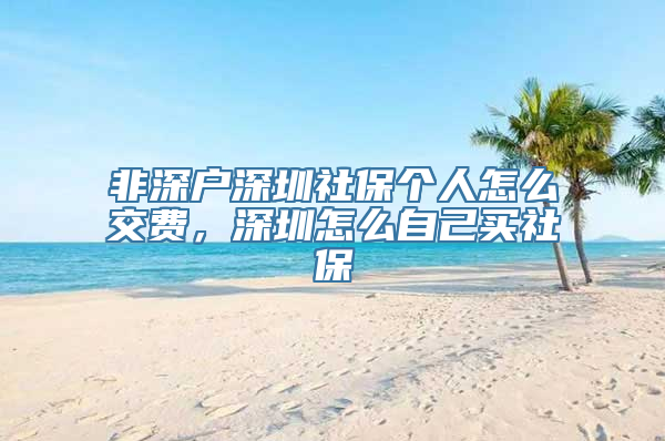 非深户深圳社保个人怎么交费，深圳怎么自己买社保