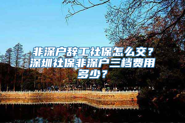 非深户辞工社保怎么交？深圳社保非深户三档费用多少？