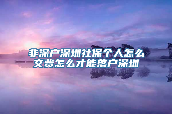 非深户深圳社保个人怎么交费怎么才能落户深圳