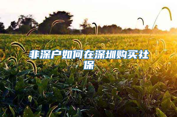 非深户如何在深圳购买社保