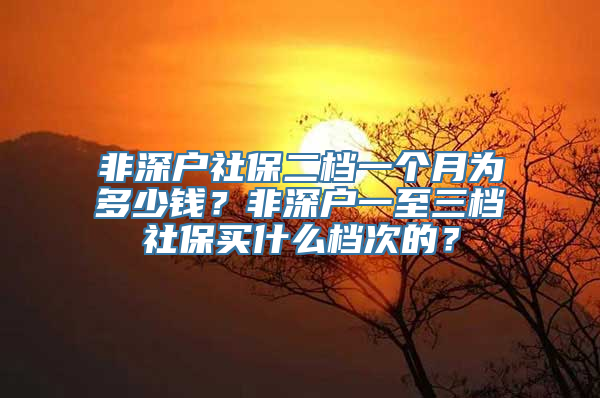 非深户社保二档一个月为多少钱？非深户一至三档社保买什么档次的？