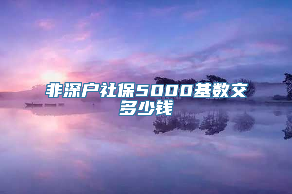 非深户社保5000基数交多少钱