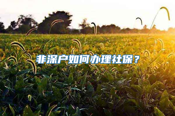 非深户如何办理社保？