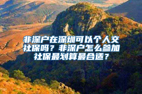 非深户在深圳可以个人交社保吗？非深户怎么参加社保最划算最合适？