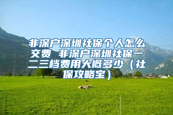 非深户深圳社保个人怎么交费 非深户深圳社保一二三档费用大概多少（社保攻略宝）