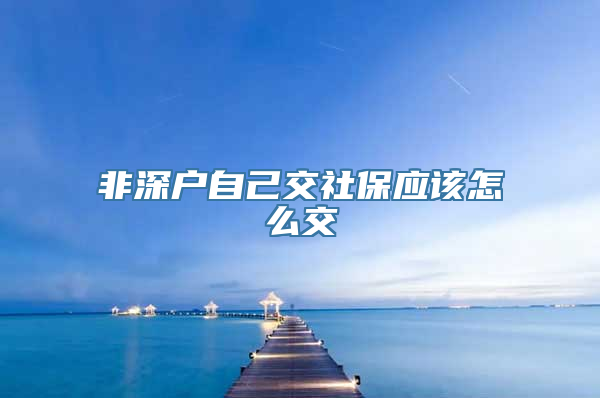 非深户自己交社保应该怎么交