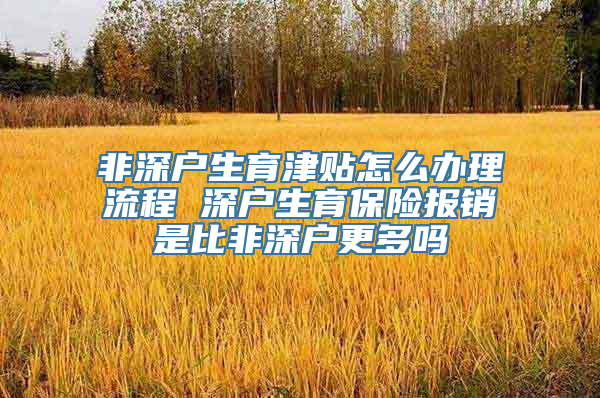 非深户生育津贴怎么办理流程 深户生育保险报销是比非深户更多吗