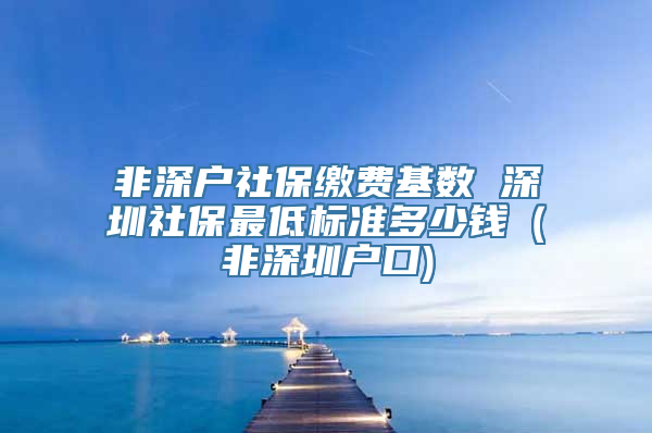 非深户社保缴费基数 深圳社保最低标准多少钱（非深圳户口)