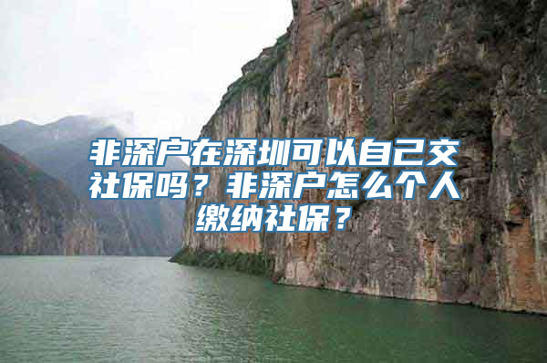 非深户在深圳可以自己交社保吗？非深户怎么个人缴纳社保？