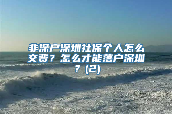 非深户深圳社保个人怎么交费？怎么才能落户深圳？(2)