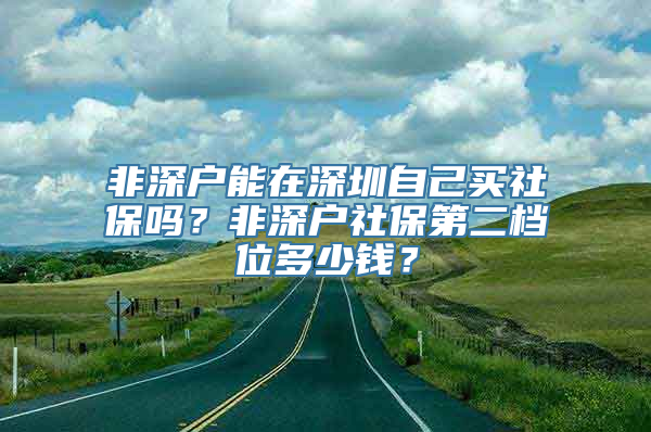 非深户能在深圳自己买社保吗？非深户社保第二档位多少钱？