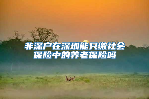 非深户在深圳能只缴社会保险中的养老保险吗