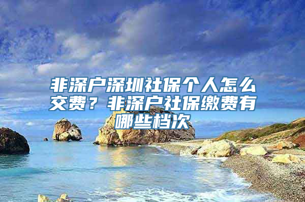 非深户深圳社保个人怎么交费？非深户社保缴费有哪些档次