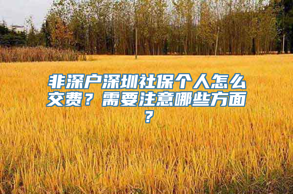 非深户深圳社保个人怎么交费？需要注意哪些方面？