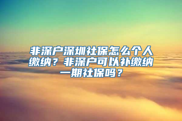 非深户深圳社保怎么个人缴纳？非深户可以补缴纳一期社保吗？