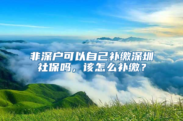 非深户可以自己补缴深圳社保吗，该怎么补缴？