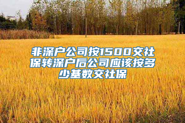 非深户公司按1500交社保转深户后公司应该按多少基数交社保