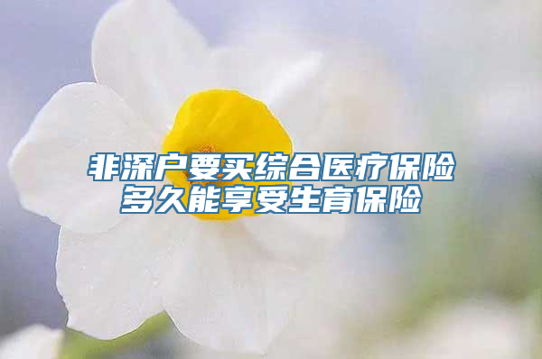 非深户要买综合医疗保险多久能享受生育保险