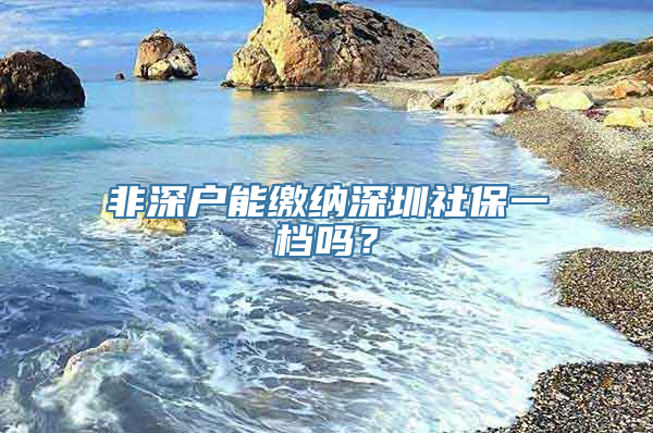 非深户能缴纳深圳社保一档吗？