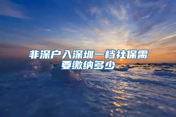 非深户入深圳一档社保需要缴纳多少