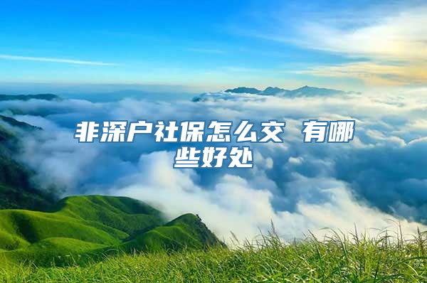 非深户社保怎么交 有哪些好处