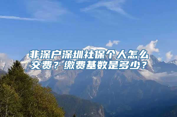 非深户深圳社保个人怎么交费？缴费基数是多少？