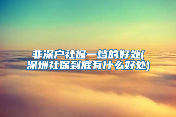 非深户社保一档的好处(深圳社保到底有什么好处)